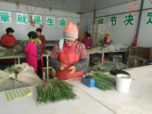 创建农产品质量安全省第16期 莱州市落实监管责任与云南省公路局跨界合作新探索