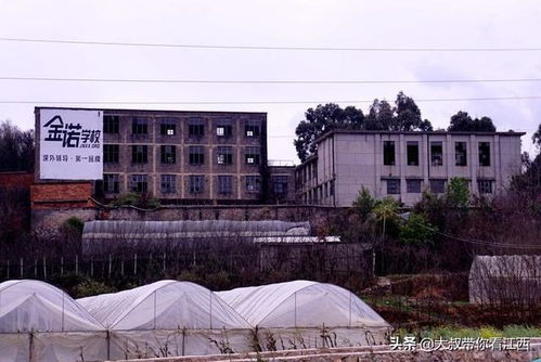 灰色的记忆 云南省轮胎厂与公路局的岁月交响